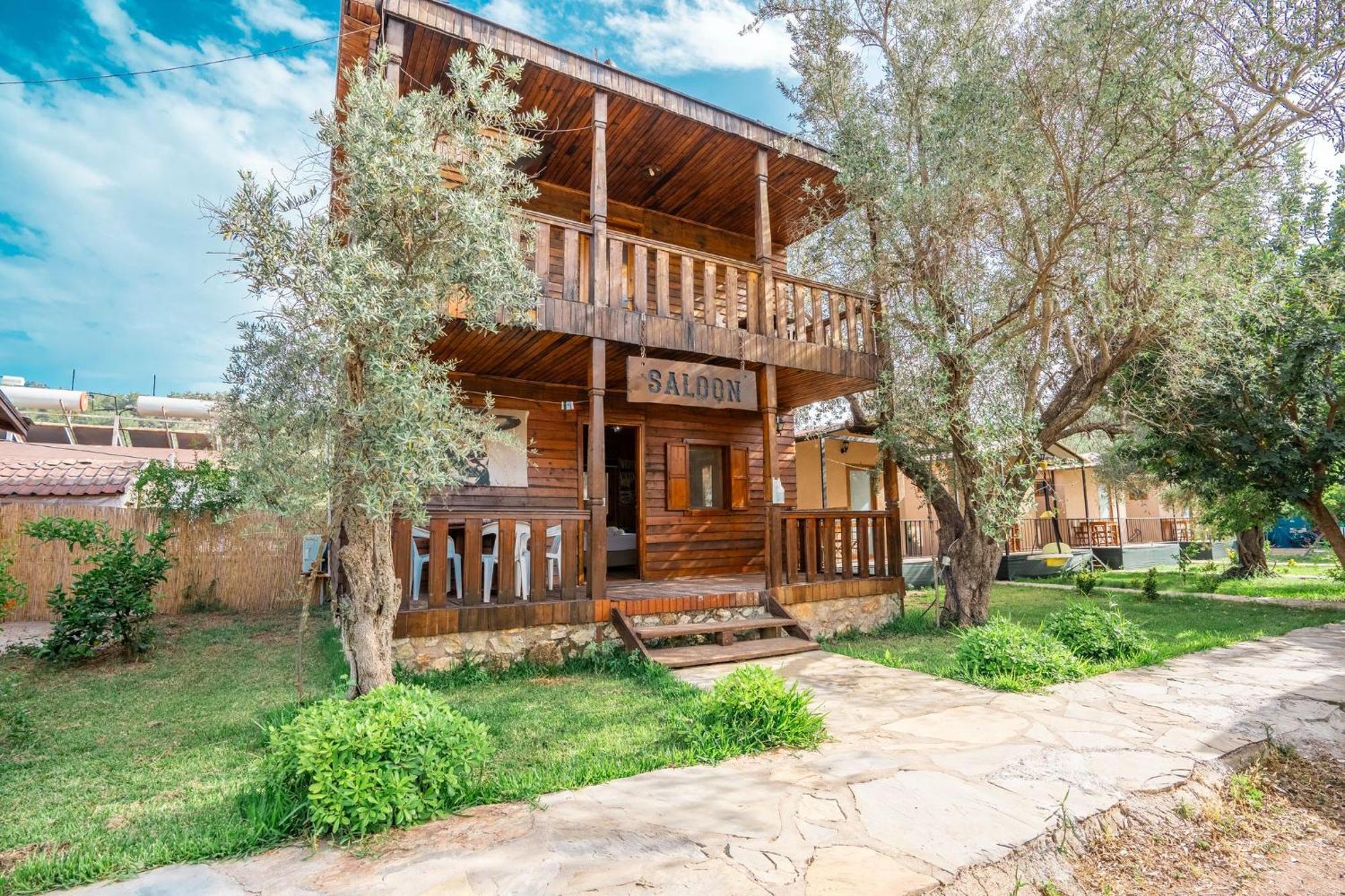 Olive Tree 4*